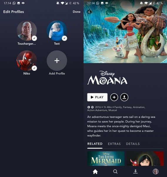 Toucharger DisneyPlus account